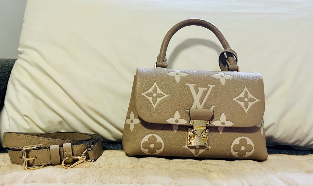 Louis Vuitton Hand Bag