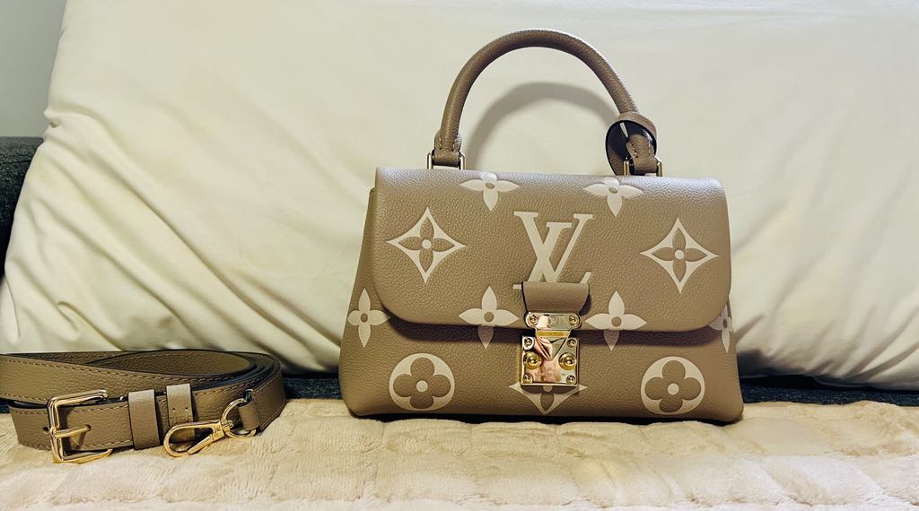 Louis Vuitton Hand Bag